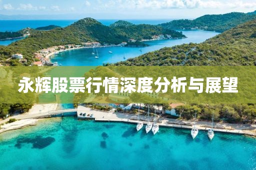 永輝股票行情深度分析與展望