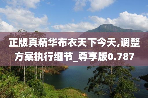 正版真精華布衣天下今天,調整方案執行細節_尊享版0.787