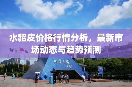 水貂皮價格行情分析，最新市場動態與趨勢預測