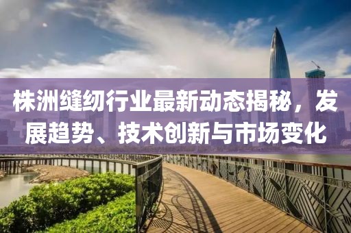 株洲縫紉行業最新動態揭秘，發展趨勢、技術創新與市場變化
