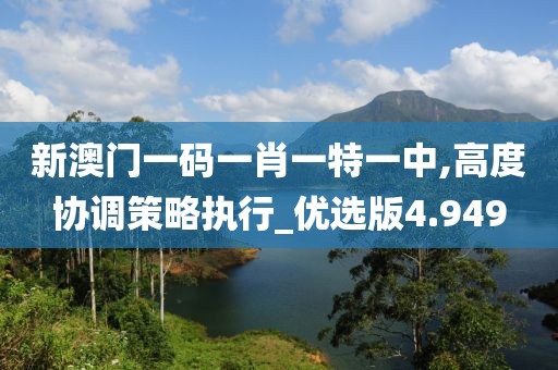 新澳門一碼一肖一特一中,高度協調策略執行_優選版4.949