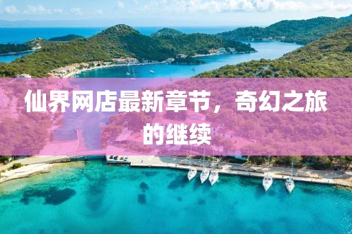 仙界網店最新章節，奇幻之旅的繼續