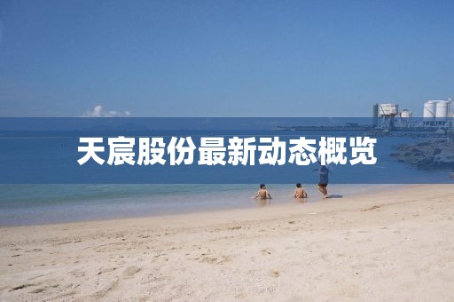 天宸股份最新動態概覽