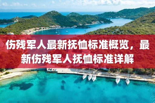傷殘軍人最新撫恤標準概覽，最新傷殘軍人撫恤標準詳解