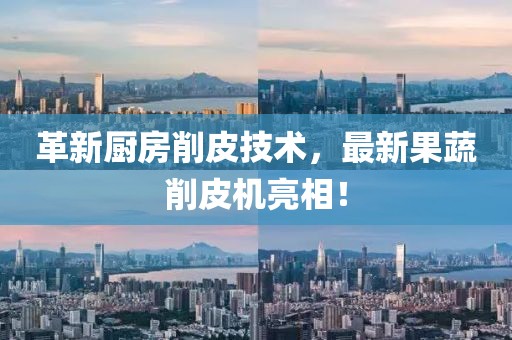 革新廚房削皮技術，最新果蔬削皮機亮相！