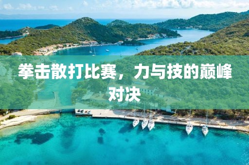 拳擊散打比賽，力與技的巔峰對決