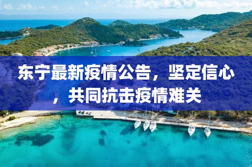 東寧最新疫情公告，堅定信心，共同抗擊疫情難關