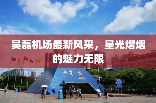 吳磊機場最新風采，星光熠熠的魅力無限