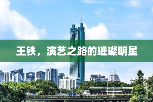 王鐵，演藝之路的璀璨明星
