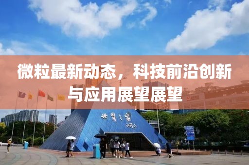 微粒最新動態，科技前沿創新與應用展望展望