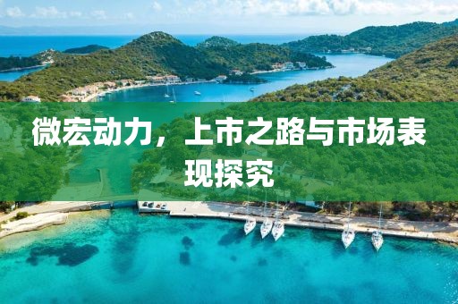 微宏動力，上市之路與市場表現探究