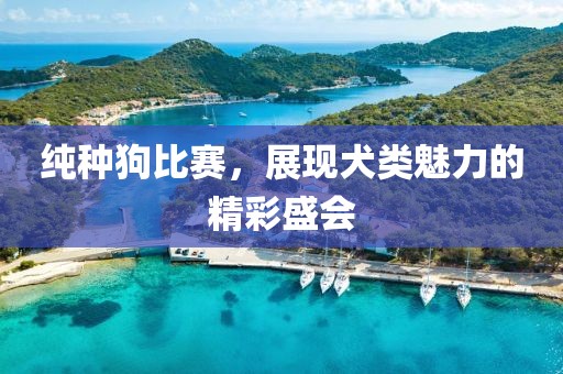 純種狗比賽，展現犬類魅力的精彩盛會