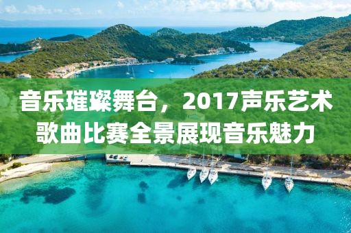 音樂璀璨舞臺，2017聲樂藝術歌曲比賽全景展現音樂魅力