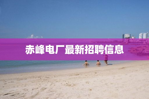 赤峰電廠最新招聘信息