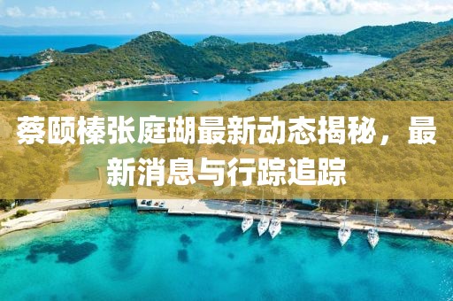 蔡頤榛張庭瑚最新動態揭秘，最新消息與行蹤追蹤