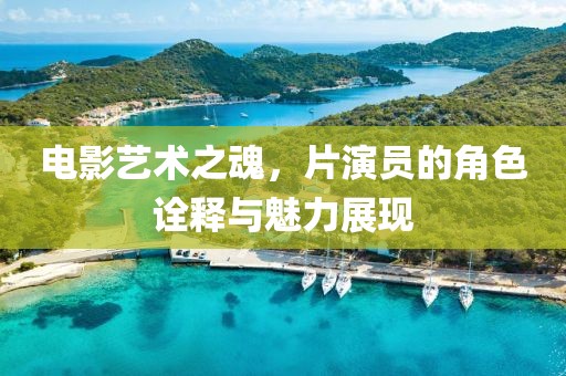 電影藝術之魂，片演員的角色詮釋與魅力展現