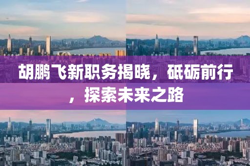 胡鵬飛新職務揭曉，砥礪前行，探索未來之路