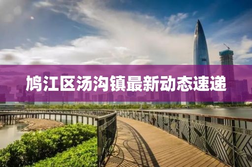 鳩江區湯溝鎮最新動態速遞