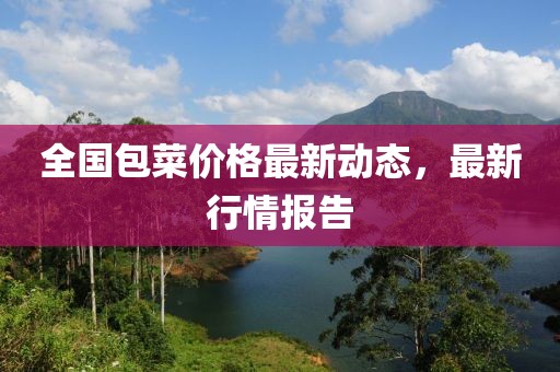 全國包菜價格最新動態，最新行情報告