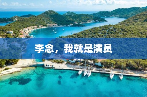 李念，我就是演員