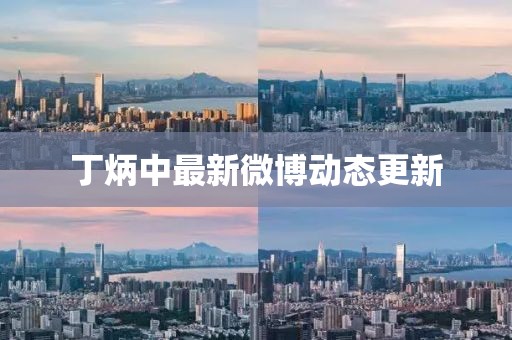 丁炳中最新微博動態更新