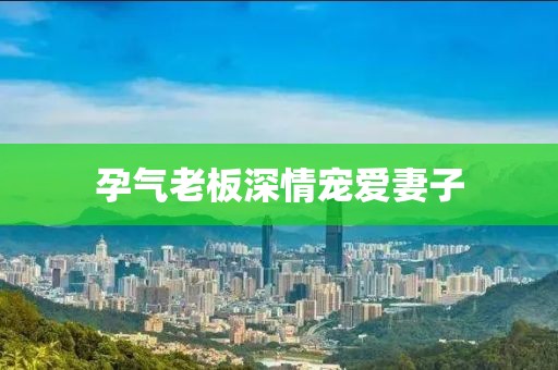 孕氣老板深情寵愛妻子
