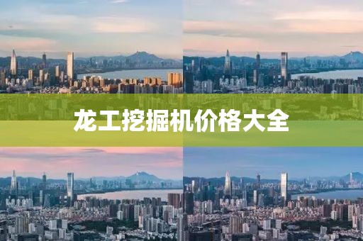 龍工挖掘機價格大全