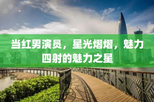 當紅男演員，星光熠熠，魅力四射的魅力之星