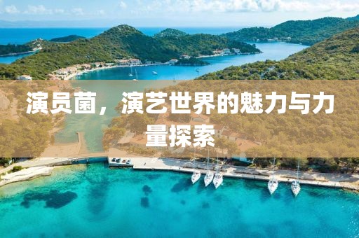 耿彭祖 第4頁