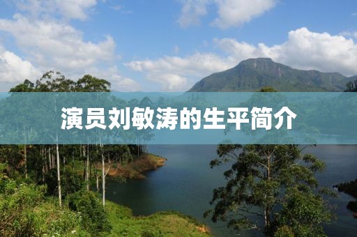 演員劉敏濤的生平簡介