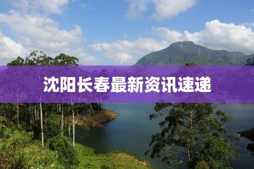 沈陽長春最新資訊速遞