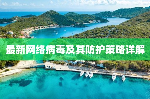 最新網絡病毒及其防護策略詳解