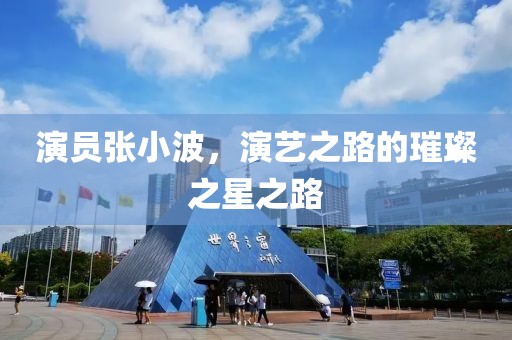 演員張小波，演藝之路的璀璨之星之路