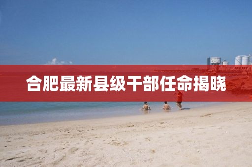 合肥最新縣級干部任命揭曉