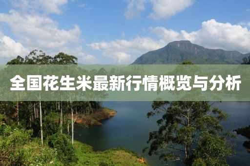 全國花生米最新行情概覽與分析