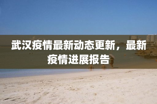 武漢疫情最新動態更新，最新疫情進展報告