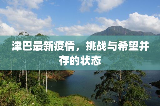 津巴最新疫情，挑戰與希望并存的狀態