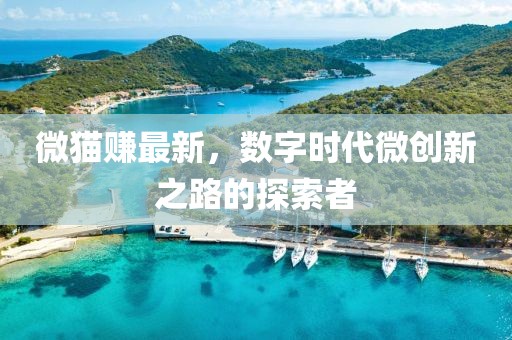微貓賺最新，數字時代微創新之路的探索者