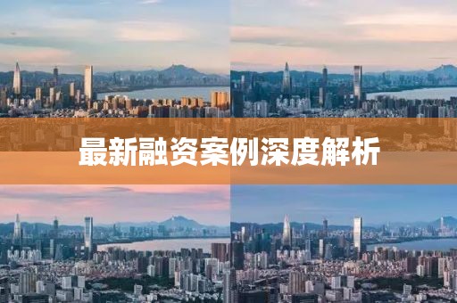 最新融資案例深度解析