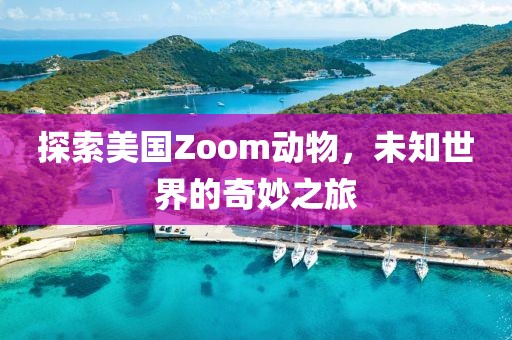 探索美國Zoom動物，未知世界的奇妙之旅