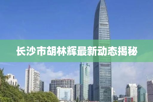 長沙市胡林輝最新動態揭秘