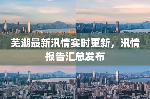 蕪湖最新汛情實時更新，汛情報告匯總發布