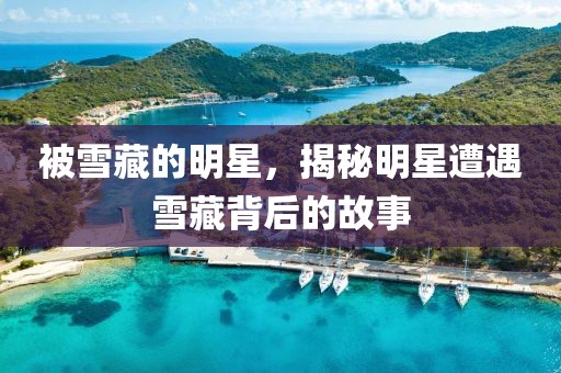 被雪藏的明星，揭秘明星遭遇雪藏背后的故事