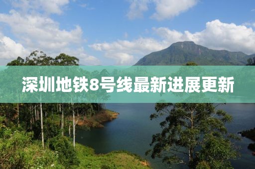 深圳地鐵8號線最新進展更新
