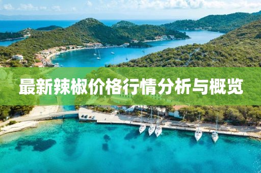 最新辣椒價格行情分析與概覽
