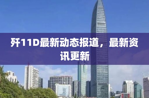 殲11D最新動態報道，最新資訊更新