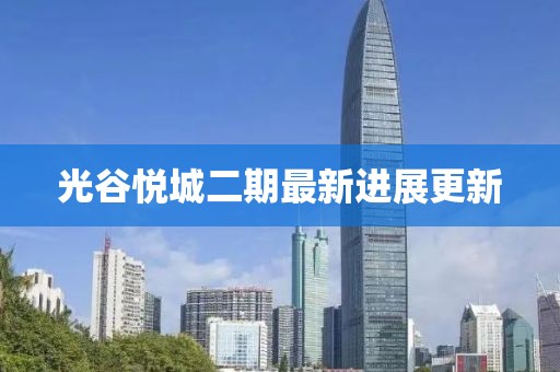 光谷悅城二期最新進展更新