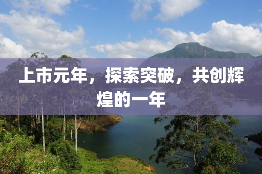 上市元年，探索突破，共創輝煌的一年
