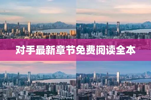對手最新章節免費閱讀全本
