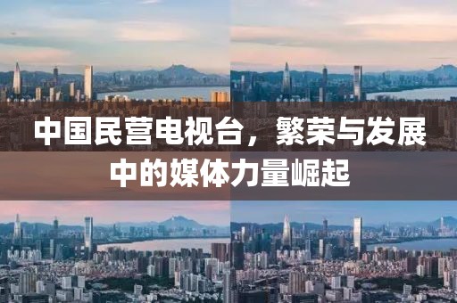 中國民營電視臺，繁榮與發展中的媒體力量崛起